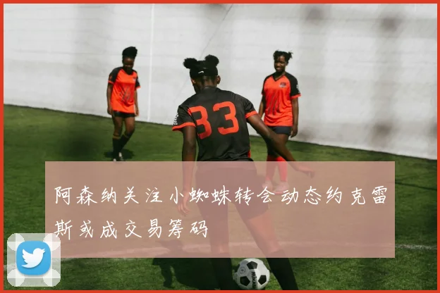 阿森纳关注小蜘蛛转会动态约克雷斯或成交易筹码
