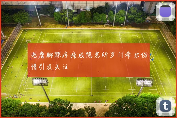 老詹脚踝疼痛成隐患所罗门希尔伤情引发关注