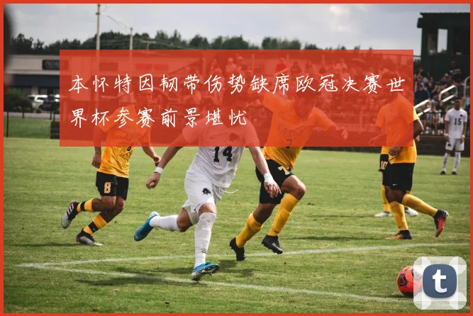 本怀特因韧带伤势缺席欧冠决赛世界杯参赛前景堪忧